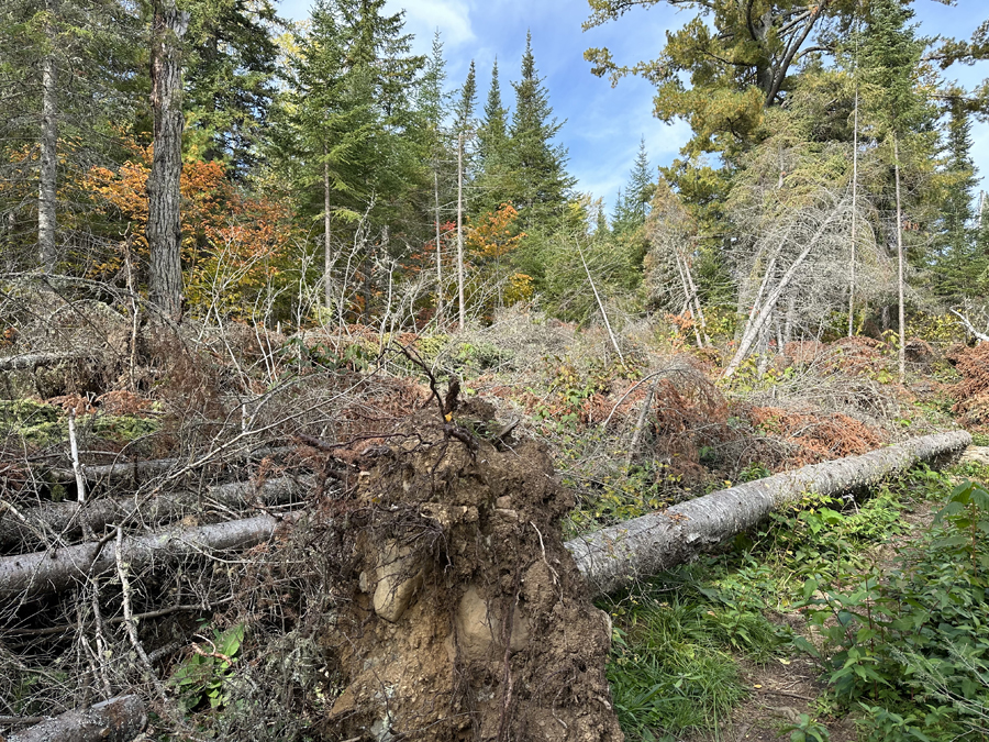 Alder Lake Campsite 7