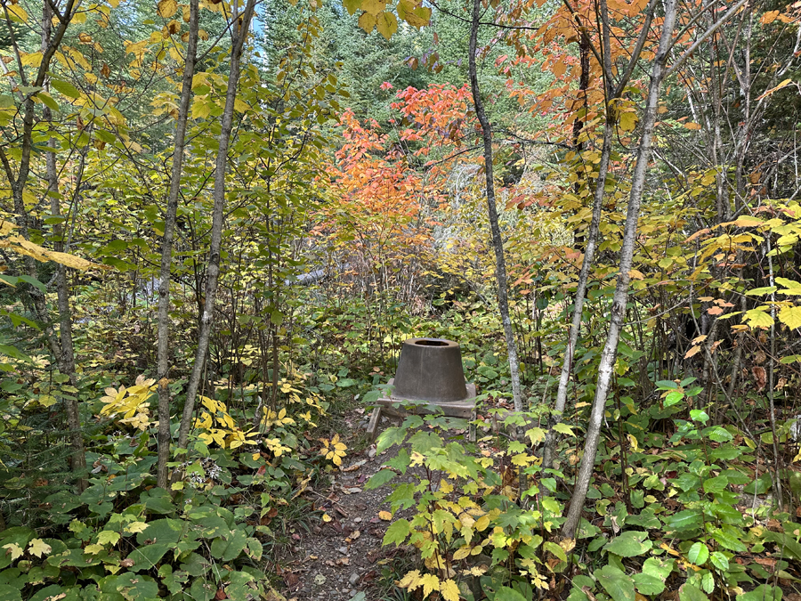 Alder Lake Campsite 9