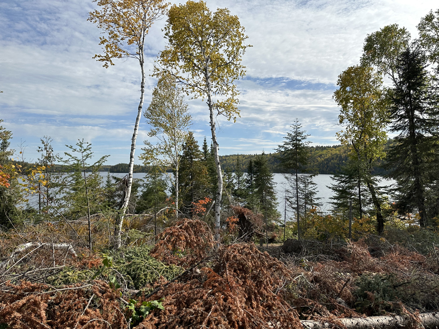 Alder Lake Campsite 10