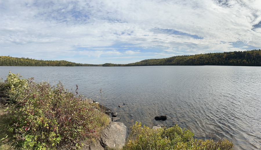 Alder Lake Campsite 12