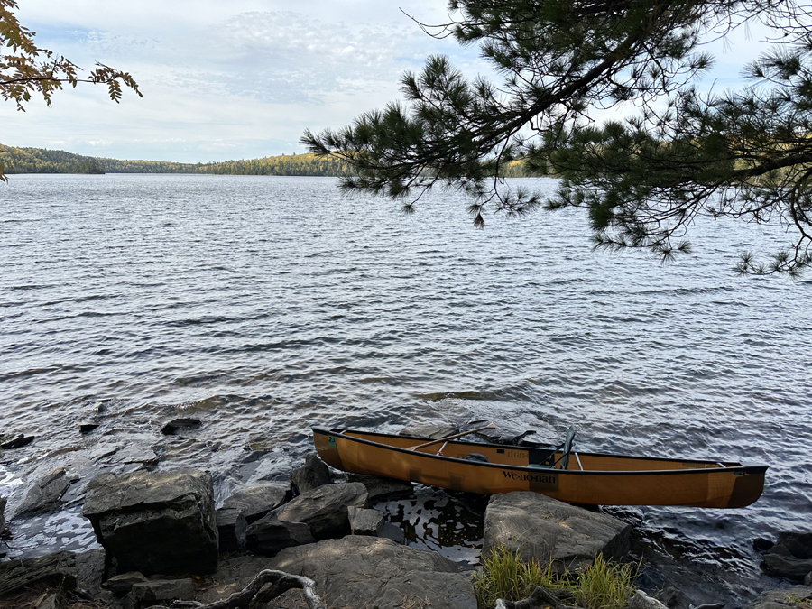 Alder Lake 8