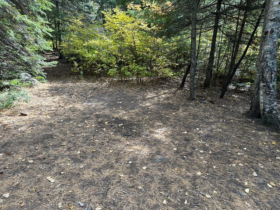 Alder Lake Campsite 3