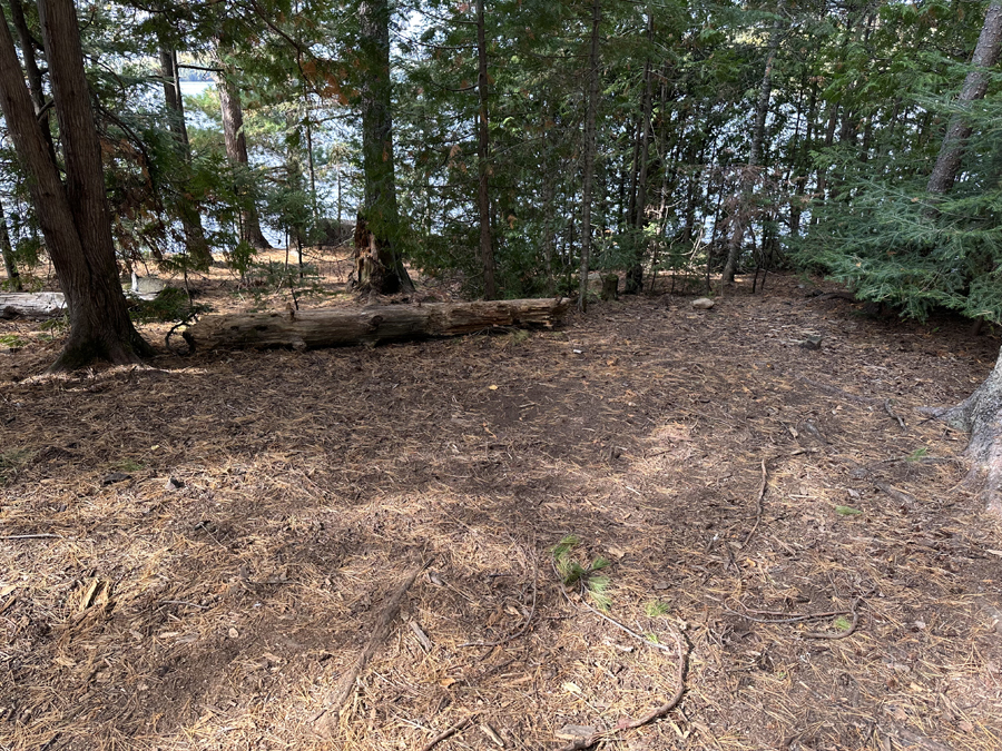 Alder Lake Campsite 5