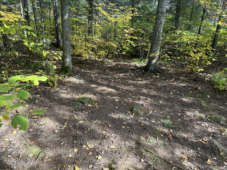 Alder Lake Campsite 7