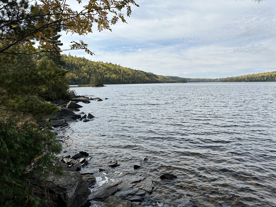 Alder Lake Campsite 11