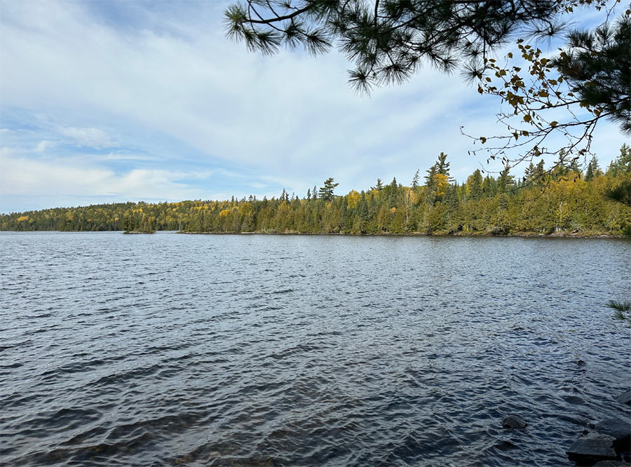 Alder Lake Campsite 12