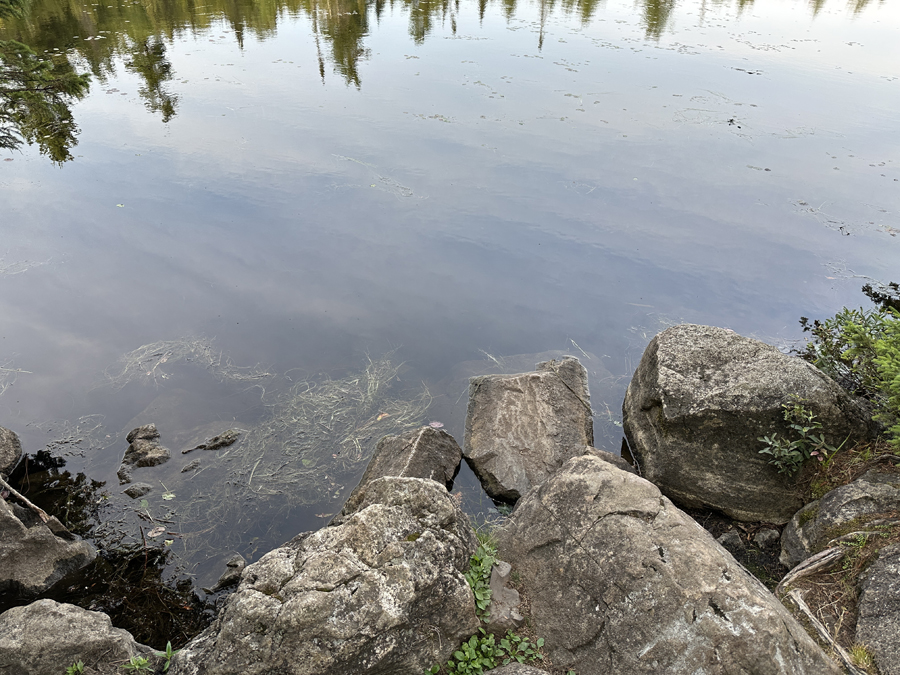 Allen Lake to Horseshoe Lake Portage 2