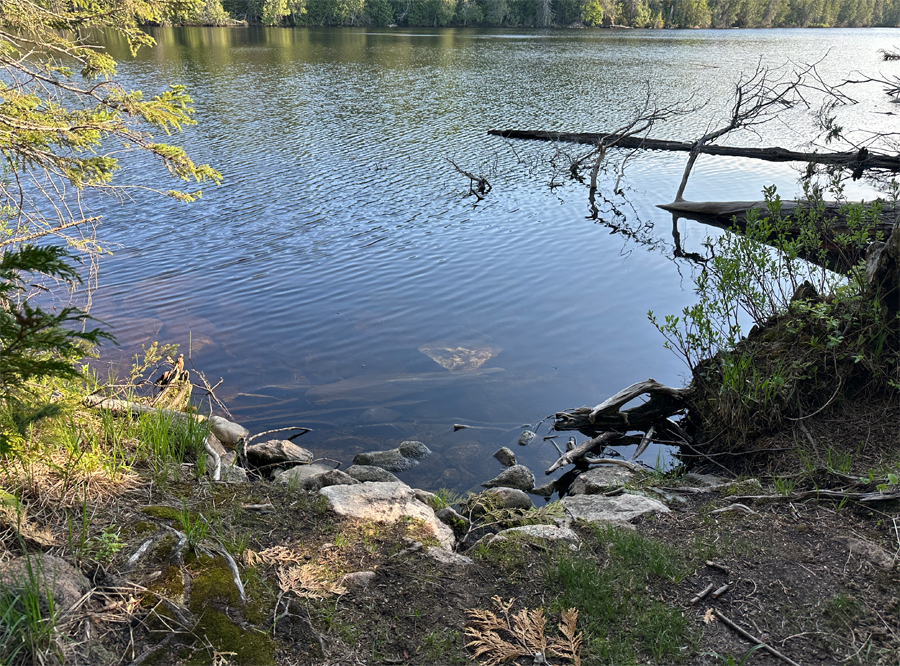 Banadad Lake to Rush Lake Portage 2