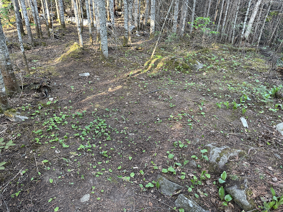 Banadad Lake Campsite 7