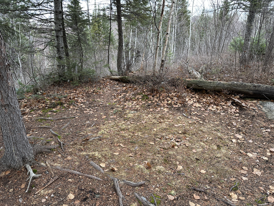 Bingshick Lake Campsite 8