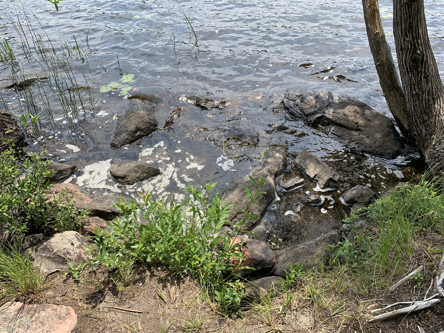 Bower Trout Lake Campsite 1