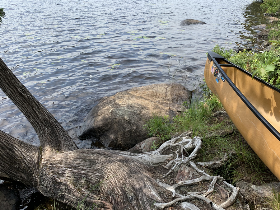 Bower Trout Lake Campsite 2