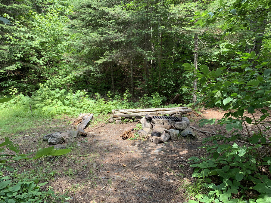 Bower Trout Lake Campsite 4