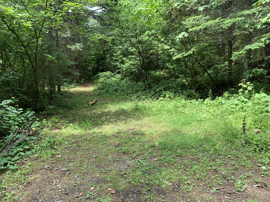 Bower Trout Lake Campsite 8