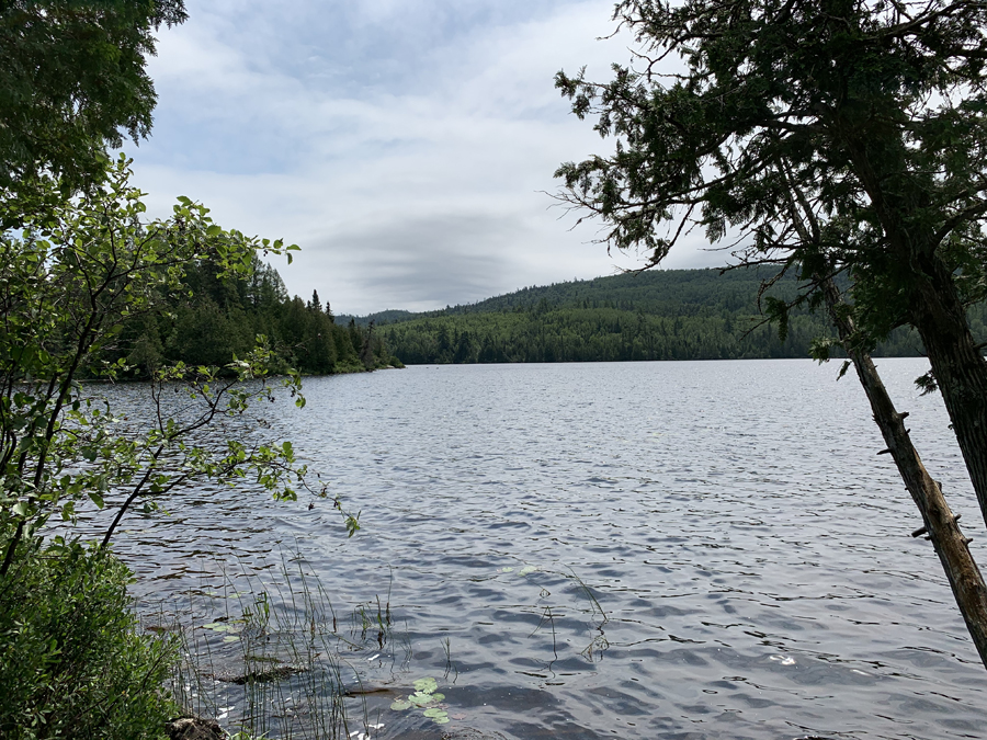 Bower Trout Lake Campsite 11