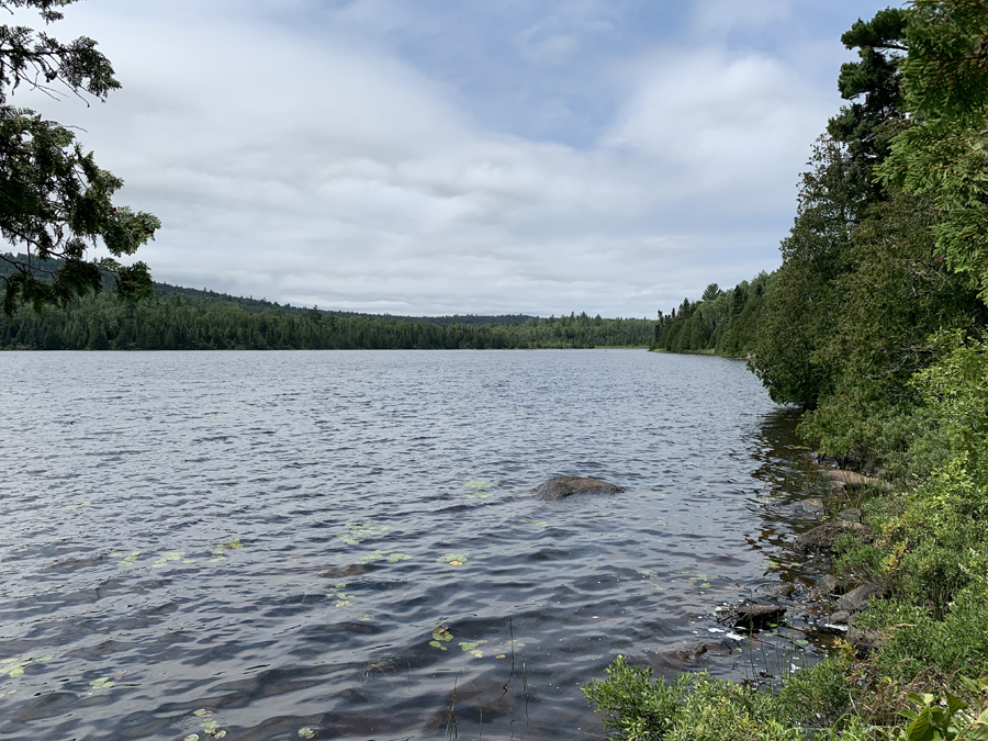 Bower Trout Lake 2