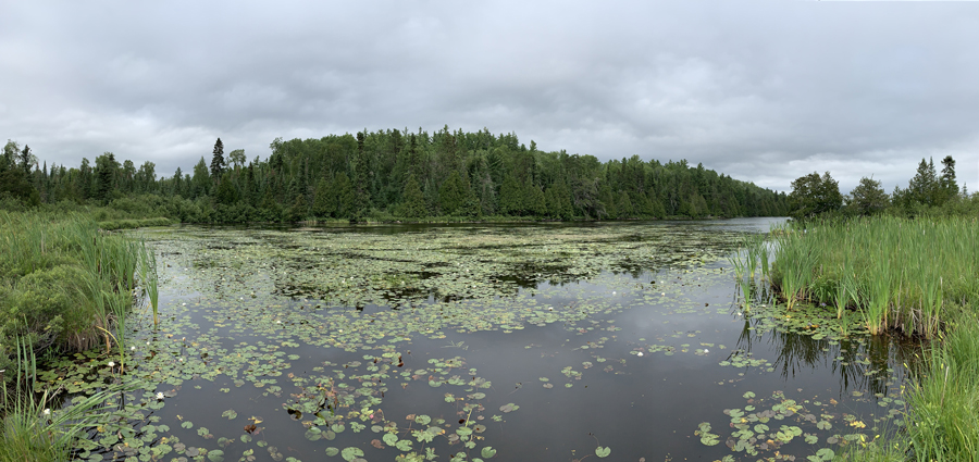 Bower Trout Lake 4