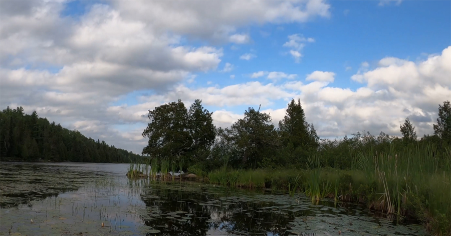 Bower Trout Lake 5