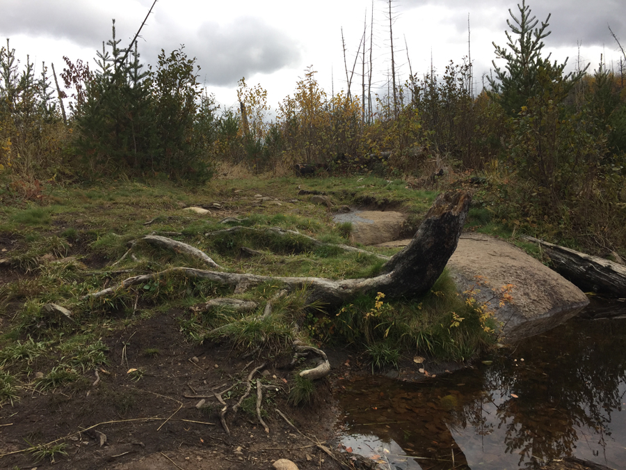 Gotter Lake to Brant Lake portage BWCA