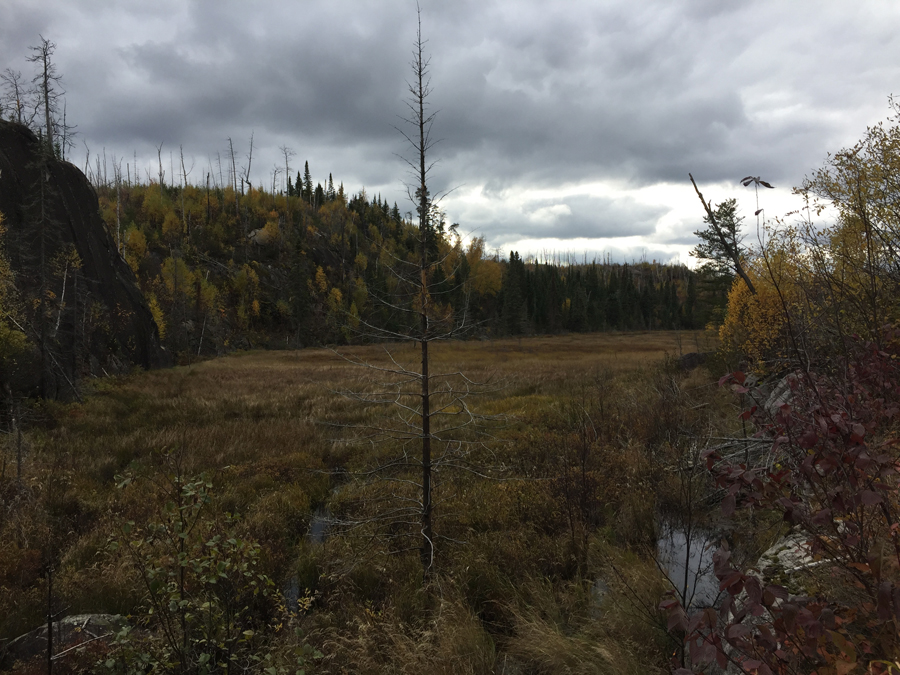 Scenic View Gotter Lake to Brant Lake Portage in BWCA