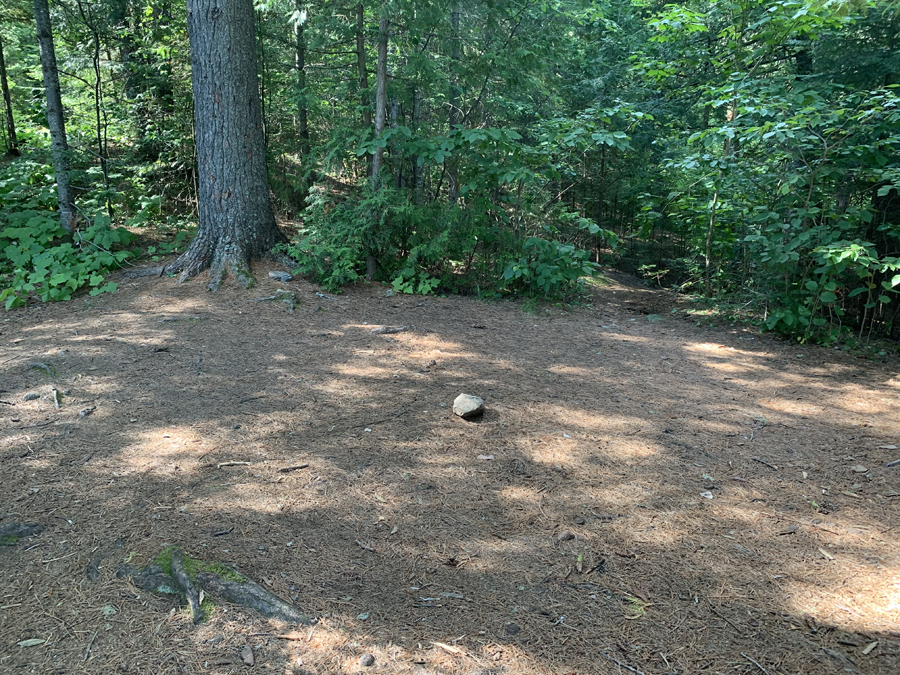 Canoe Lake Campsite 5