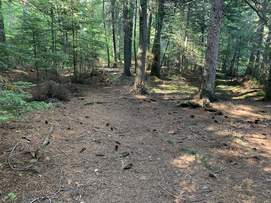 Canoe Lake Campsite 8