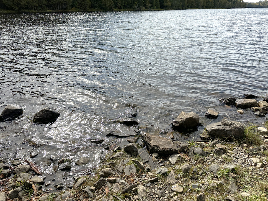 Pine Lake to Canoe Lake Portage 4