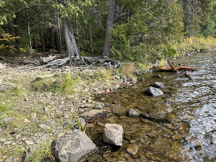 Pine Lake to Canoe Lake Portage 1