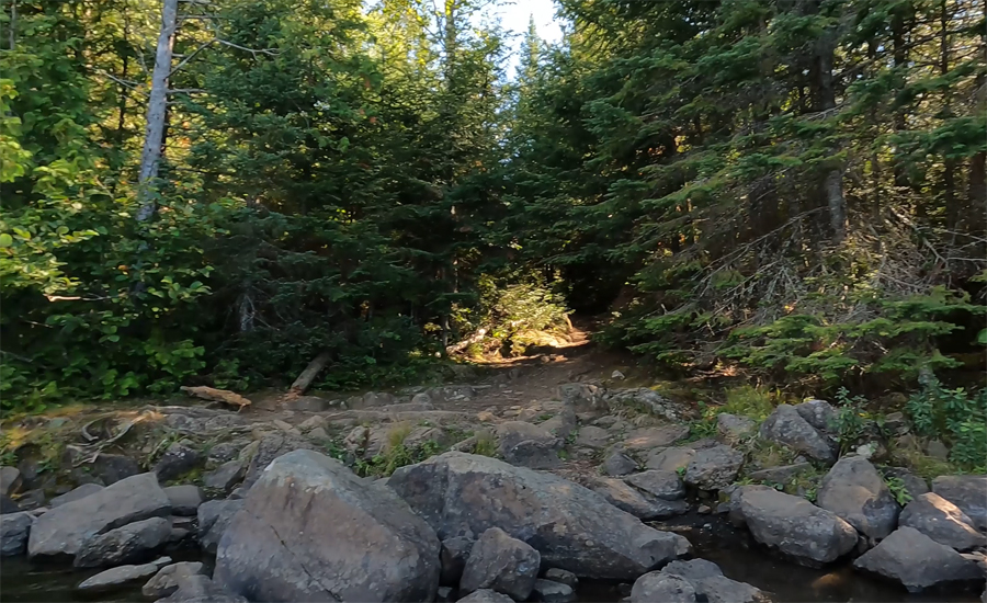 Alder Lake to Canoe Lake Portage 3
