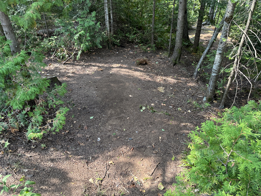 Caribou Lake Campsite 8