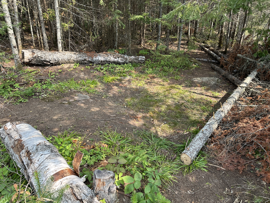 Caribou Lake Campsite 4