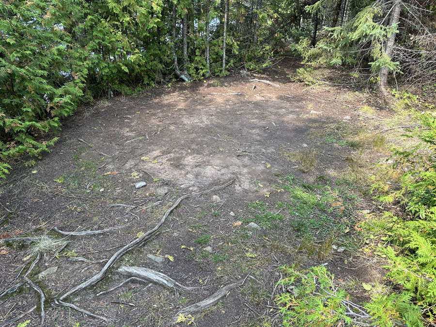 Caribou Lake Campsite 6