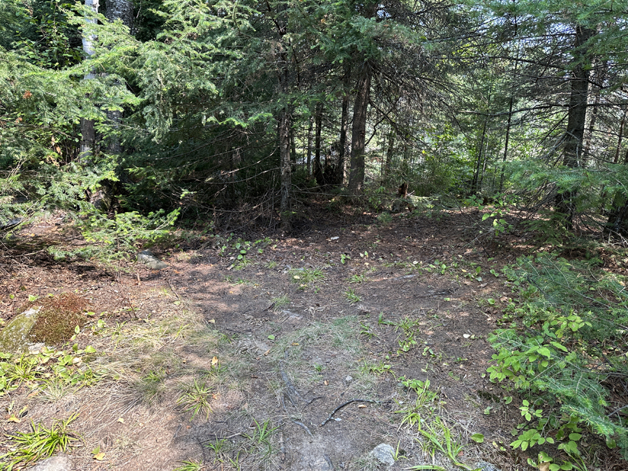 Caribou Lake Campsite 6