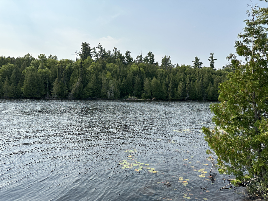 Caribou Lake Campsite 8