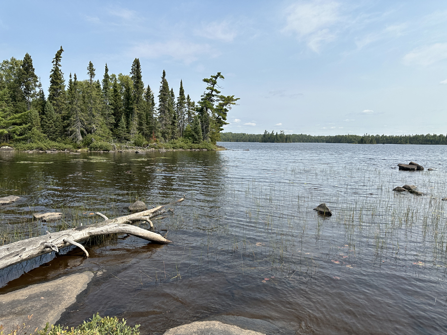 Caribou Lake Campsite 9