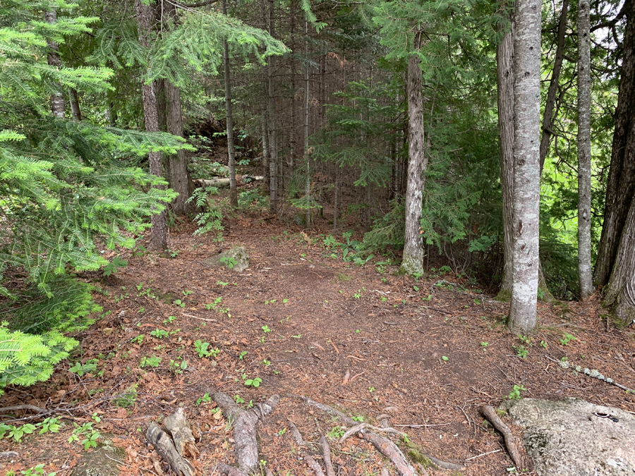 Carl Lake Campsite 8