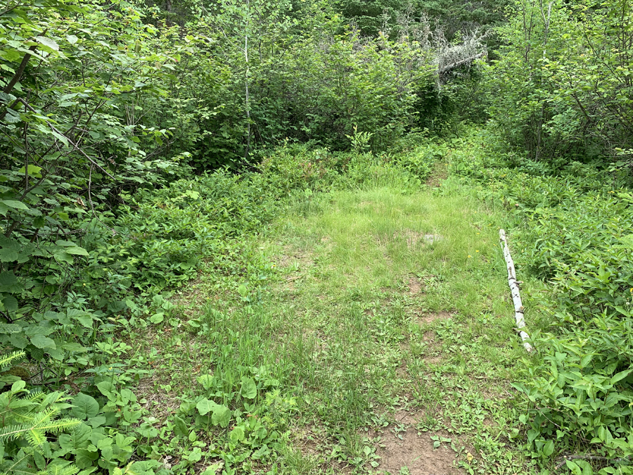 Carl Lake Campsite 5