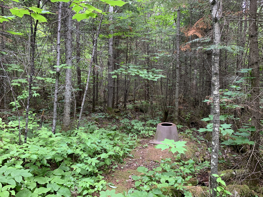 Carl Lake Campsite 6