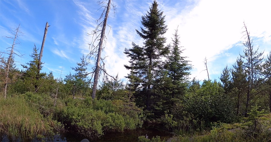 Bingshick-Chub River-Portage 2