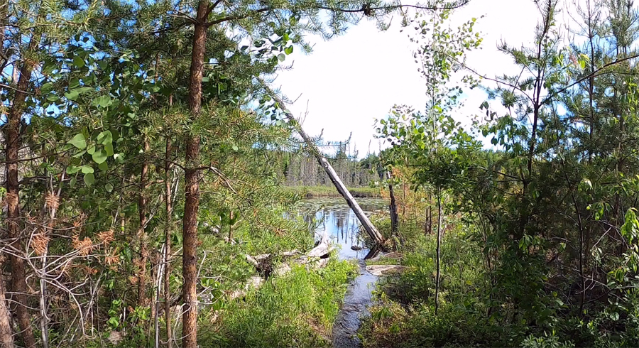 Bingshick-Chub River-Portage 4