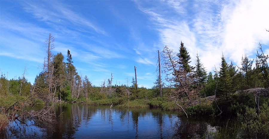 Bingshick-Chub River-Portage 1