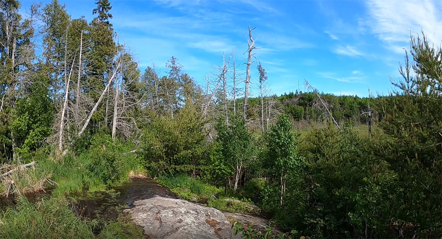 Bingshick-Chub River-Portage 3