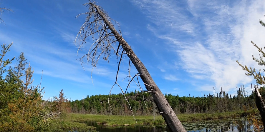 Bingshick-Chub River-Portage 5