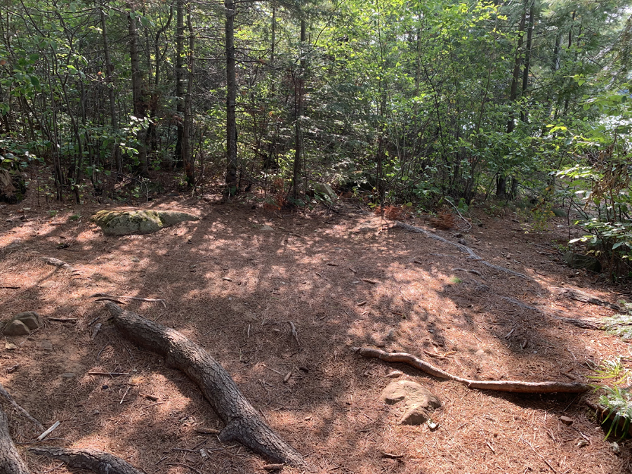 Clearwater Lake Campsite 5