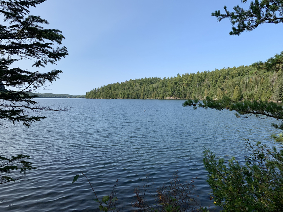 Clearwater Lake Campsite 8