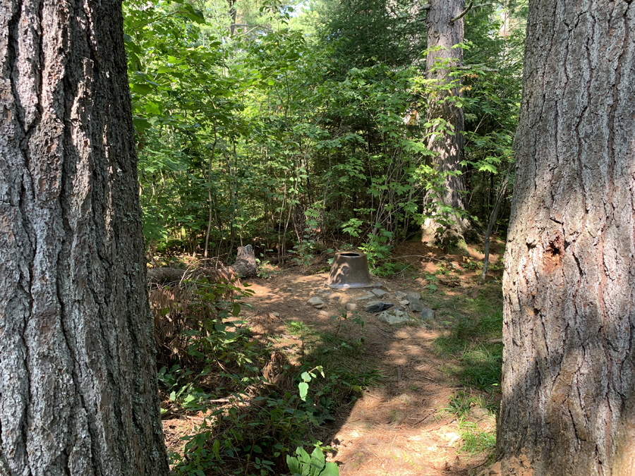 Clearwater Lake Campsite 8