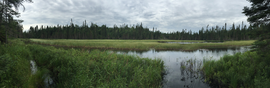 Copper-Snipe-Portage 5