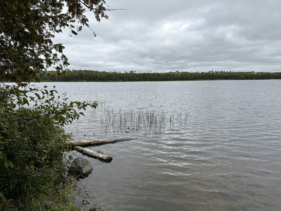 Crocodile Lake Campsite 12