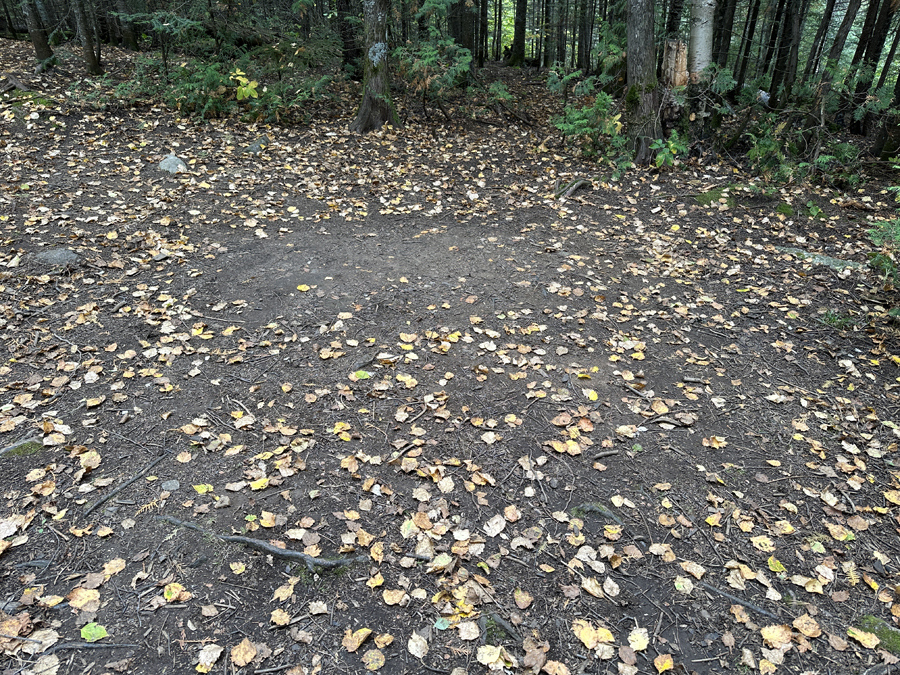 Crocodile Lake Campsite 6