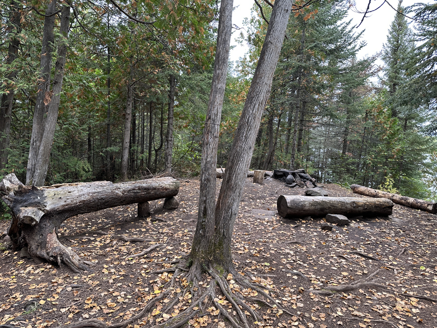 Crocodile Lake Campsite 4